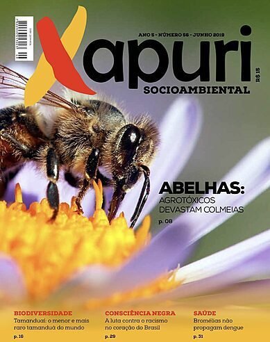 IMG 1904 e1764198942342