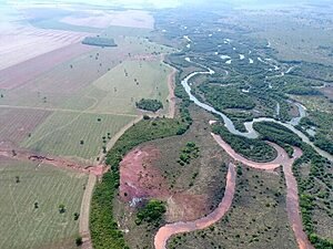 MORREM, SILENCIOSOS, OS RIOS DO CERRADO