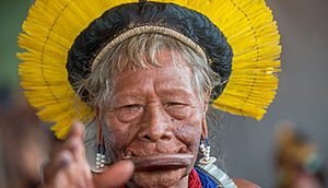 "Um índio descerá de uma estrela colorida"