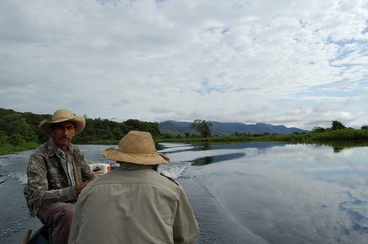 A cupinização do Pantanal