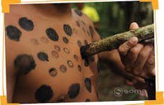 A ORIGEM DO POVO KAINGANG 1 KAINGANG CANOS DA FLORESTA