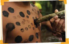 KAINGANG CANOS DA FLORESTA