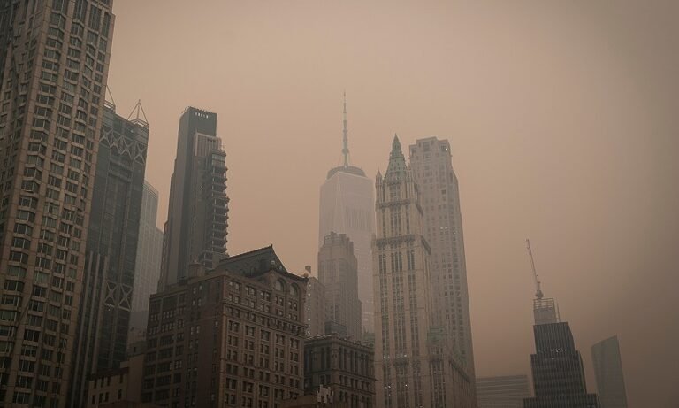 Antes que o político e o econômico engulam o científico