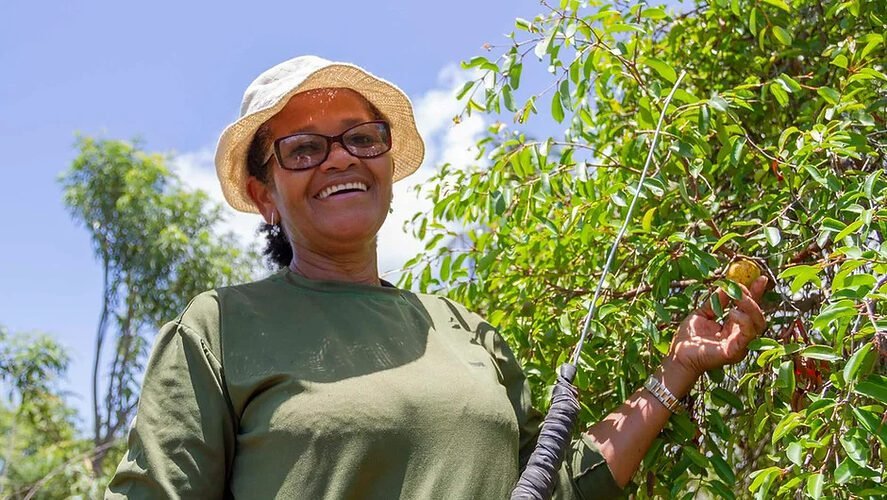 Catadoras de Mangaba de Sergipe clamam por proteção aos seus territórios