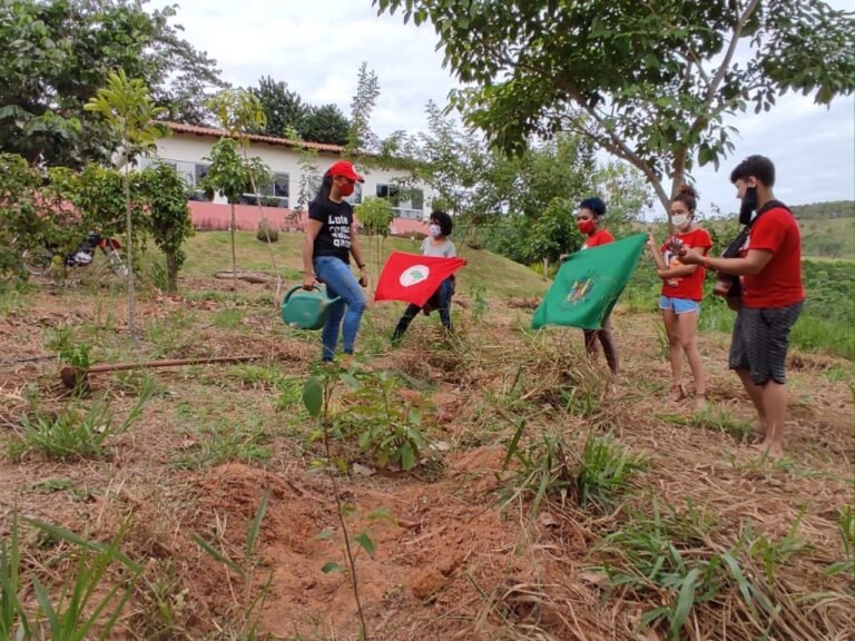 RECUPERAÇÃO AMBIENTAL: CONFIRA EXPERIÊNCIAS AGROECOLÓGICAS DO MST NA REGIÃO SUDESTE
