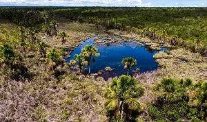 ÁGUAS EMENDADAS: O CORAÇÃO DO CERRADO AGONIZA