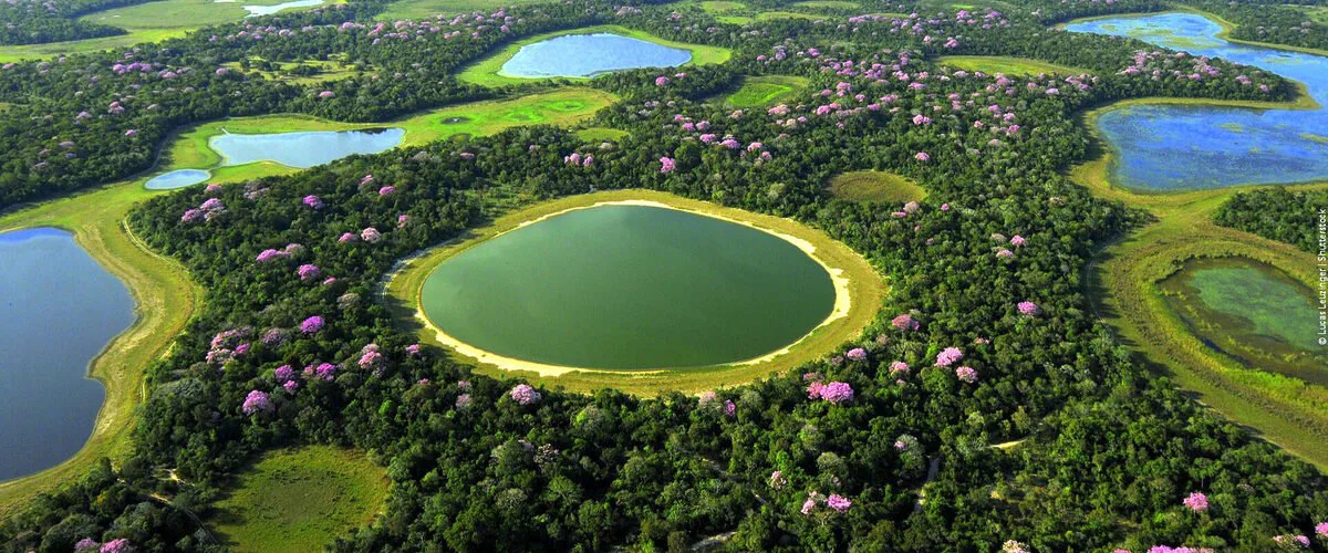TAQUARI, UM RIO DESBOCADO 7 PANTANAL: "É PRECISO A CHUVA PARA FLORIR"