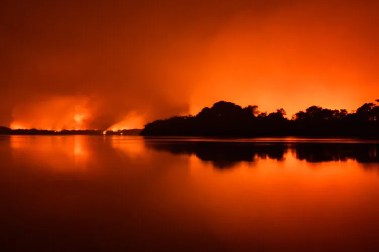 TAQUARI, UM RIO DESBOCADO 5 PANTANAL: "É PRECISO A CHUVA PARA FLORIR"