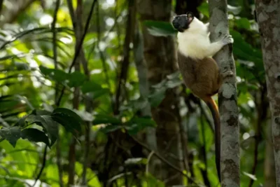 Oeco2 Editada DudaMenegassi 1156