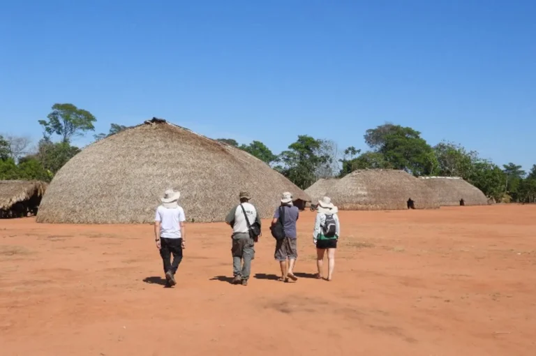 INDÍGENAS E PESQUISADORES TROCAM SABERES PELA CONSERVAÇÃO DE PRIMATAS