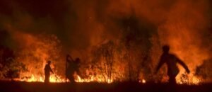 O recorde de fogo na Amazônia