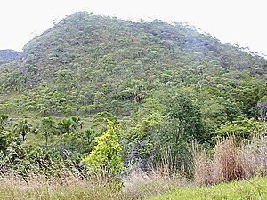 Cerrado: Biodiversidade ameaçada