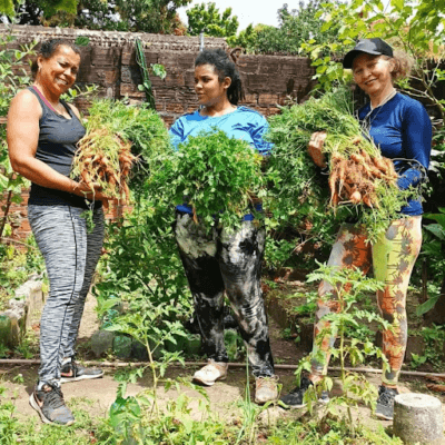 AGROECOLOGIA URBANA PROMOVE SAÚDE E RENDA NAS CIDADES 2 unnamed 4 1