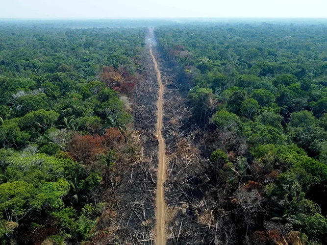 102174492 files this file photo taken on september 16 2022 shows an aerial view of a deforested and