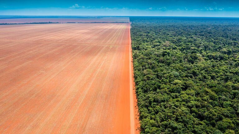 AMAZÔNIA E CERRADO