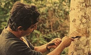 Chico Mendes Vive - Vozes da Floresta/Peça/Lucelia Santos/Zeze Weiss