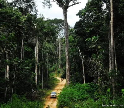 Reserva Chico Mendes.jpg 1