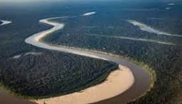 medio jurual memorial chico mendes