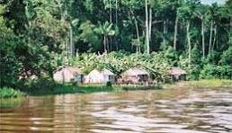 resex nedui jurua portal gov.br