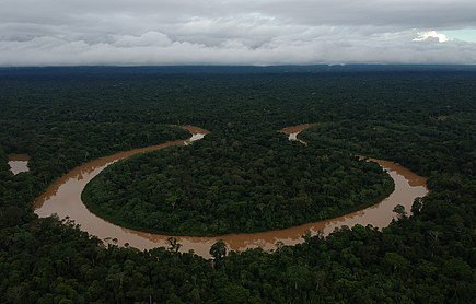 DO JEITO QUE VAMOS, A AMAZÔNIA VOLTARÁ A SER DESERTO