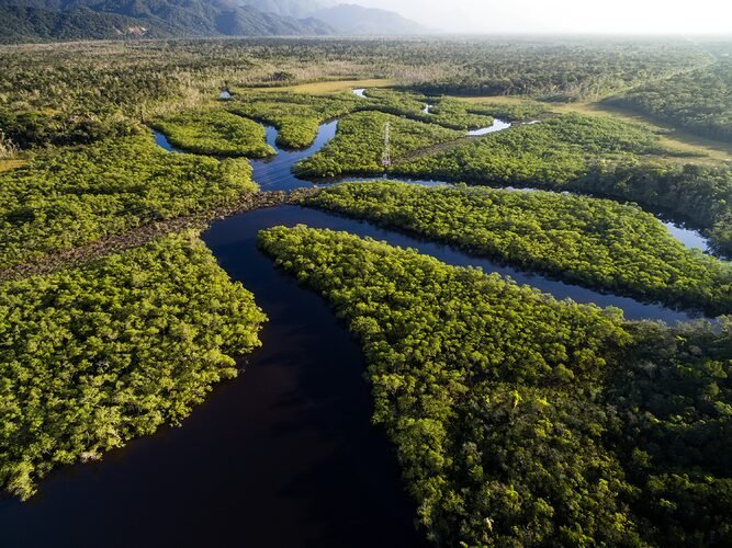 A questão da Amazônia consiste na defesa dos Povos da Floresta