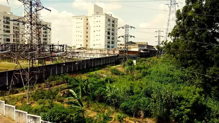 HORTAS URBANAS CONTRIBUEM PARA A SAÚDE AMBIENTAL DE SP