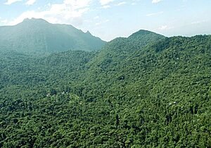AMBIENTALISTA MORTO LEMBRADO EM ATO CONTRA IMPUNIDADE