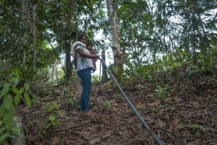 08102023 Comunidade aldeia Branquinho sofre com secas foto Juliana Pesqueira Amazonia Real 40 1500x1000 1