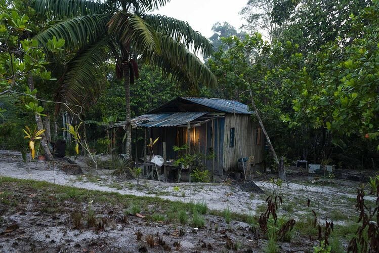 ATÉ A FORMIGA DESAPARECEU