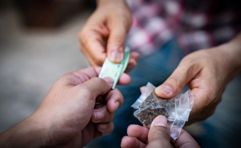 NÃO HÁ DIREITOS HUMANOS SEM SEGURANÇA PÚBLICA 1 narcotrafico 0