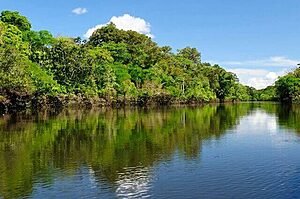 RIO AMAZONAS: ÁGUAS, NOMES E MISTÉRIOS