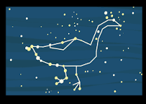 OS INDÍGENAS E O CÉU 1 consetalaao da ema aws