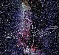 OS INDÍGENAS E O CÉU 3 constelaca do beja flor sbpc