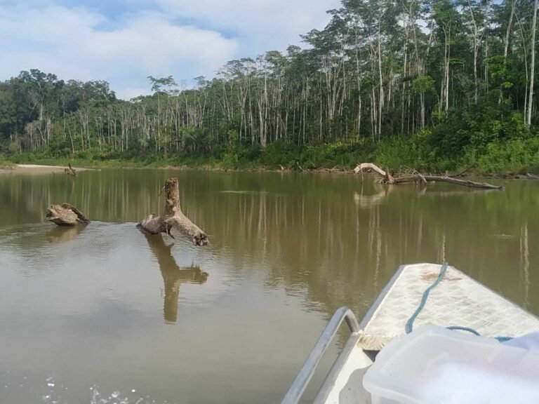 AMAZÔNIA: QUEDA DE CIVILIZAÇÕES E CRIAÇÃO DE SOCIEDADES