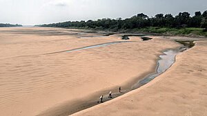 A AGONIA DA SECA NA AMAZÔNIA 