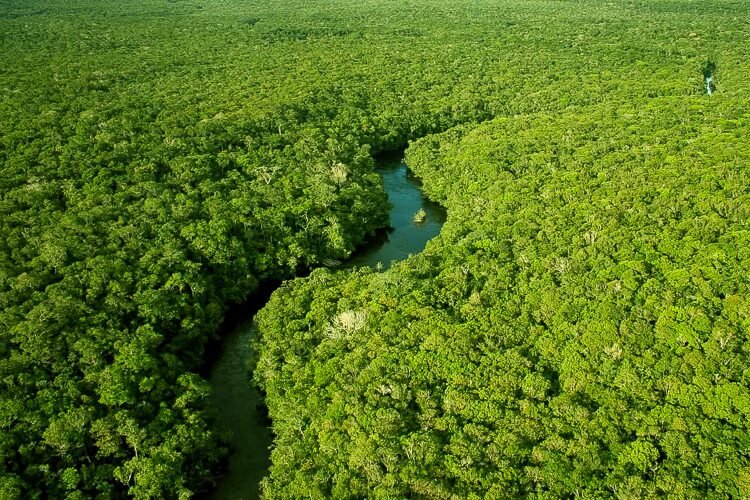 DESMATAMENTO NA AMAZÔNIA: O MENOR EM10 ANOS