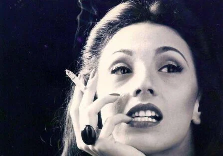 Clarice Nossos Vizinhos Ilustres e1771307617918