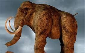 TAXODONTES, MASTODONTES, PURUSSAURUS: OS GIGANTES DA AMAZÔNIA