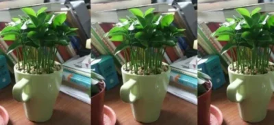 limao na caneca xicara blog morumbi shopping