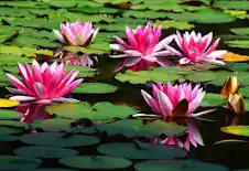 "ANTIGAMENTE NÃO EXISTIA ÁGUA NO MUNDO"