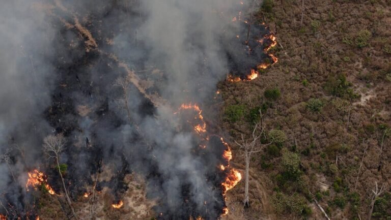 A MIGRAÇÃO DO FOGO