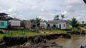 AMAZÔNIA: TERRAS CAÍDAS.RIOS SALGADOS