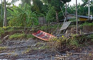 AMAZÔNIA: TERRAS CAÍDAS. RIOS SALGADOS