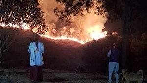 FOGO EM BRUMADINHO