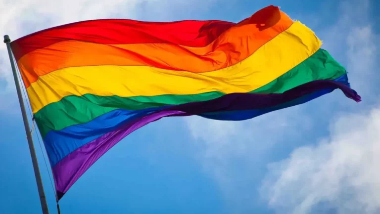 BRASIL ELEGEU 231 PESSOAS LGBTQIAPN+  PARA OS LEGISLATIVOS MUNICIPAIS 