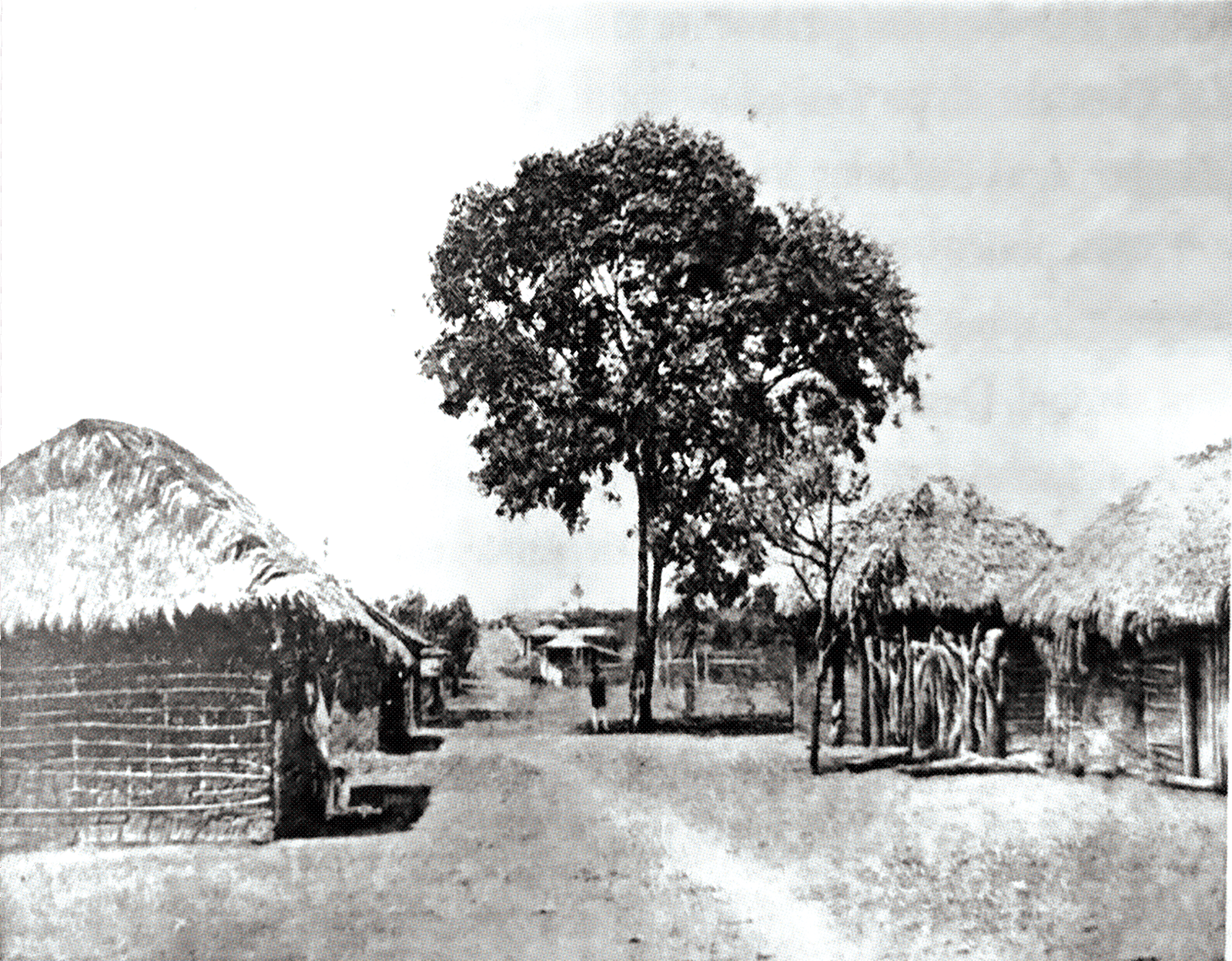 SONHOS AMORDAÇADOS: UMA HISTÓRIA REAL 1 1000230779