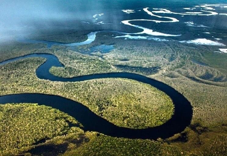 AS VIRTUDES DAS FLORES 2 SER CAPAZ, COMO UM RIO