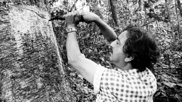 CHICO MENDES: O GRITO VERDE QUE ANDA