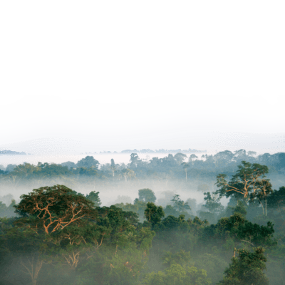 janeiro, biodiversidade