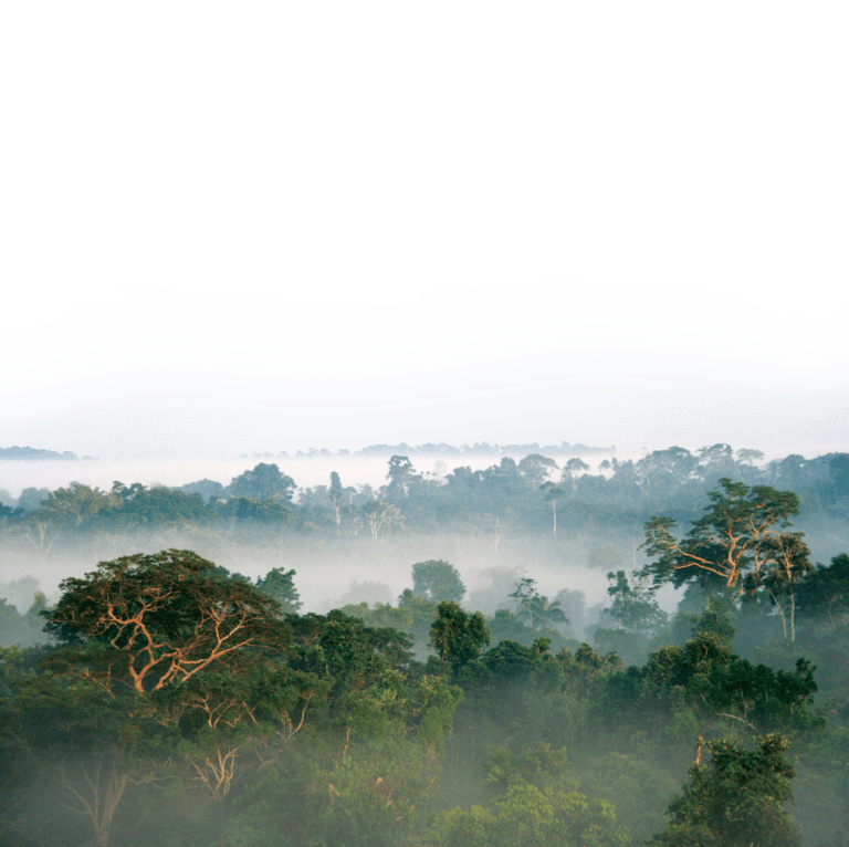 janeiro, biodiversidade